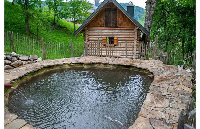 Infanglalm "attersee" - Foto 18