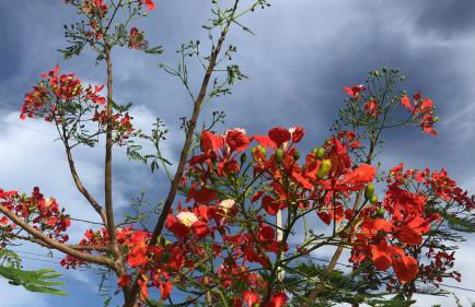 House with private pool in Condominium in São Cristóvao RN - Foto 62