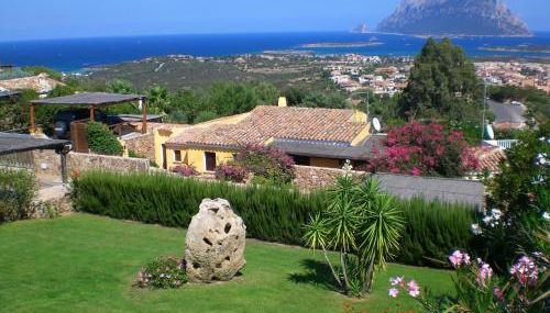 Porto San Paolo Sea Villa - Foto 1, Garden, Garden view, Shopping Area