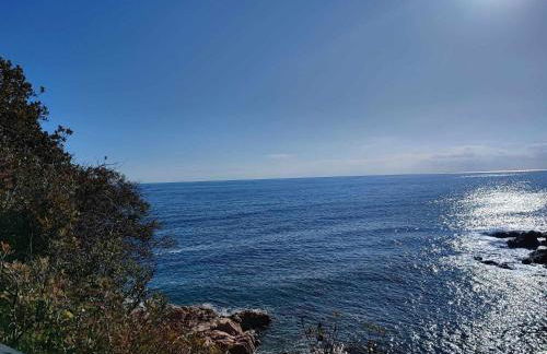 Espiga, Cala privada Tossa de Mar - Foto 40