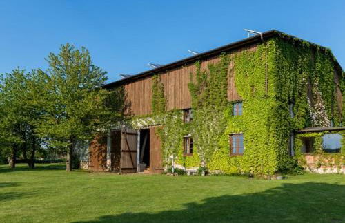 Tarnewitz in the Thorstorf estate barn - Foto 5