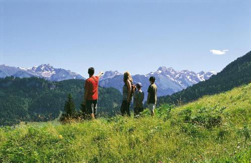 Gemütliche Ferienwohnung Bergwiese, 2-Raum, separates Schlafzimmer, schönen Balkon oder Terrasse, Komfort Ausstattung, ruhige Südlage, kostenfrei WLAN und schöne helle Sauna, Brötchenservice, Parkplatz, Hunde auf Anfrage, E-Tankstelle, Sonnenlage - Photo 17