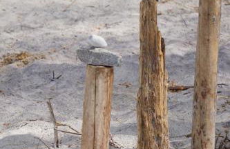 Haffblick im Reetdachhaus am Haff - Foto 23