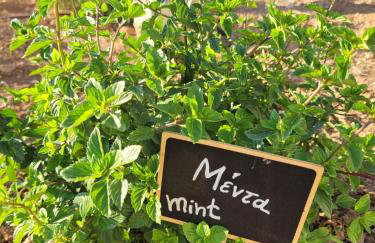 Villa Penelope - Foto 60