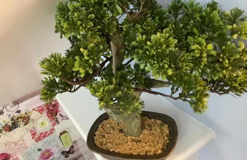 Weymouth Perfectly located apartment - Foto 15