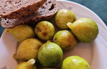 Apartment Annika - Foto 2