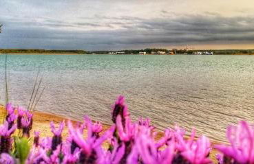 Ferienhaus Sonnenwind Hainer See Og - Foto 23