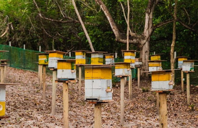 Ponta de Inhambupe Residences - Foto 57