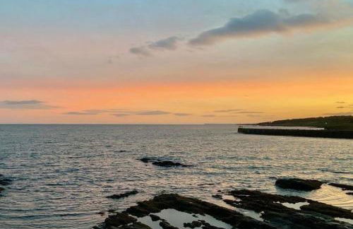 Driftwood - Photo 44