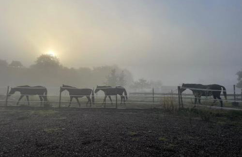 Kraewelhof - Foto 26