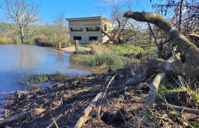 Eco Accommodation Cornflower Holiday - Foto 35