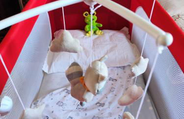 Locazione Gattapone 3 all'angoletto - Foto 30