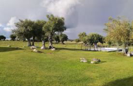 Casa do Vale da Terra Negra - Foto 12