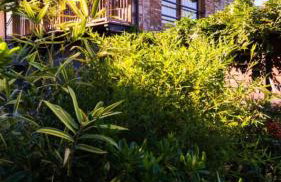 Splendido cottage Lakeview - Photo 19