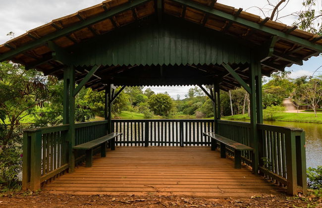 Yellow Village - Foto 47