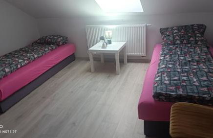 Agroturystyka Zaborski Sad - Foto 9