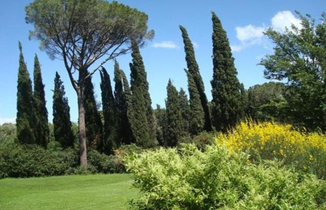 Holiday Home in Chiusi With Private Pool - Foto 31