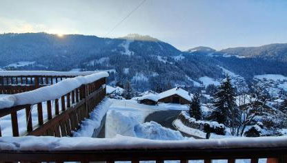 Chalet Cret Joli - Foto 4