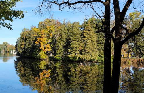 Large 1 BR Cottage, KING BED on the Lake - Foto 6