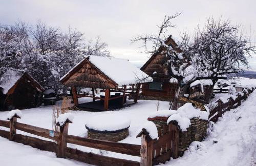 Jabłoniowy Sad Kalwaria Pacławska - Foto 37