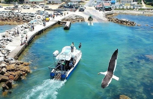 Gansbaai Seafront Holiday House: Ons C-huis - Foto 33