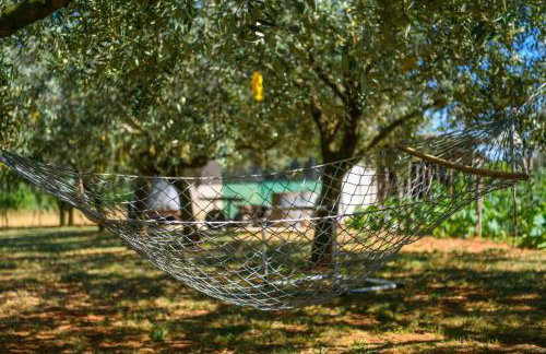 Apartment David - Foto 47