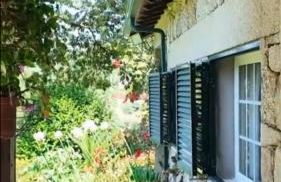 Green Villa Gerês - Foto 48