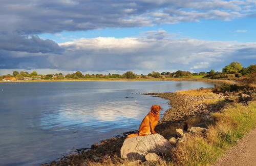 Ferienwohnung Bambuswald Ferienhof Geltinger Bucht - Foto 11