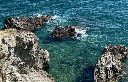 Les terrasses du port - Foto 22