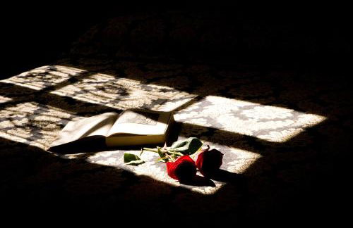 Medieval Tower Lungarno your wedding in Tuscany - Foto 29