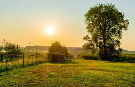 Zielony Zakątek - Apartamenty nad Jeziorem Ostrowo - Foto 20