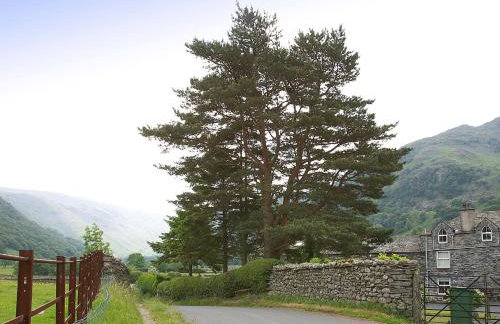 Chapelfield Cottage - Photo 10