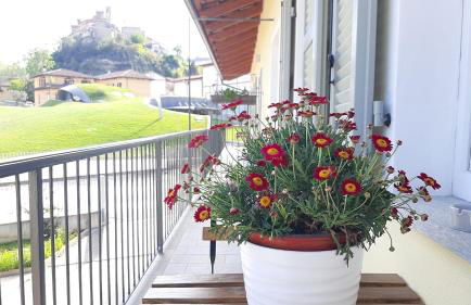 Ciabot delle Aie - Barolo - Foto 25