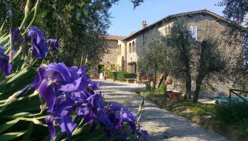 Podere San Quirico - Foto 1