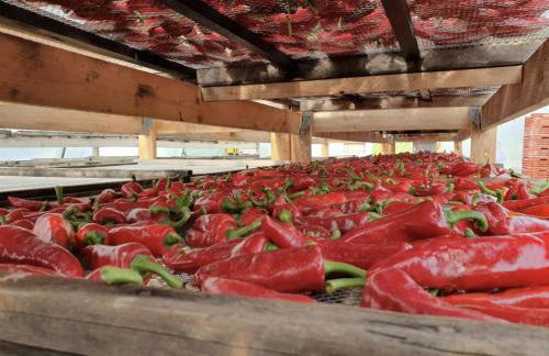 Irazabal Beheria - Foto 16