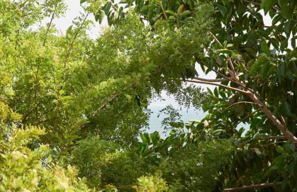 Sunny Beach Oasis, By TimeCooler - Foto 4