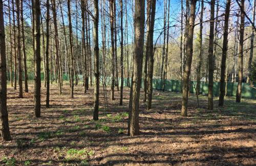 Leśny Zakątek Lipinki Bory Tucholskie - sauna - Foto 20