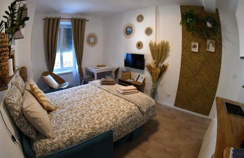 Studio Elégance Naturelle proche gare - Foto 19