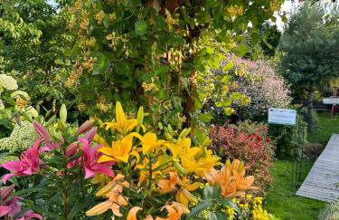 Mr. Sowa Sokolec - Foto 44