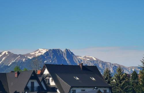 Apartament Górski Potok Murzasichle Apartamenty Murzasichle PL - Foto 3