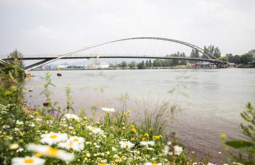 A21 Rhine view condo by the 3-countries-bridge - Foto 8