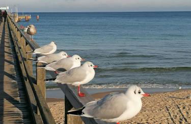 Ferienwohnung Wegner - Foto 4