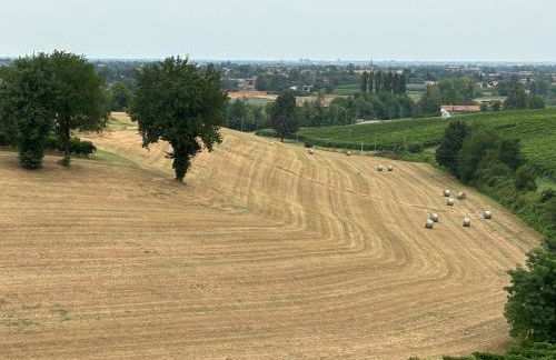 Casa del vigneto - Photo 8