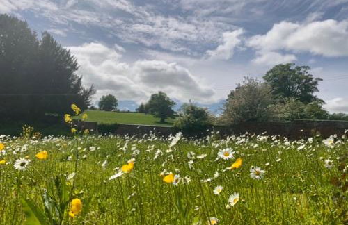 Hayes Suite - Foto 24