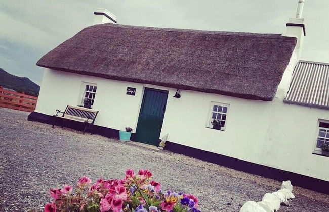 Ballymultimber Cottages - Foto 56