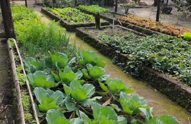 Recanto Nosso Cantinho - Foto 18