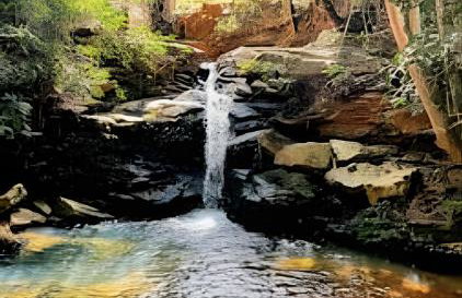 Chalé Recanto cabana mais bonita do lago Corumbá - Photo 52