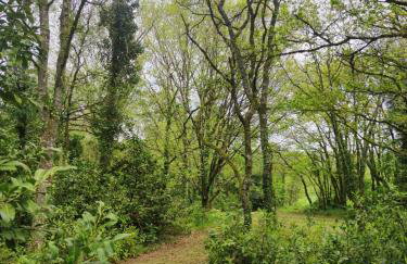 Lodge avec spa au coeur de Brocéliande - Foto 32