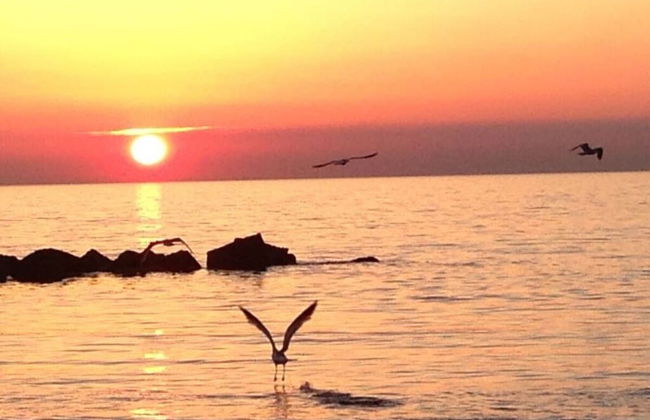 Nice Apartment in Ostseebad Wustrow - Foto 1