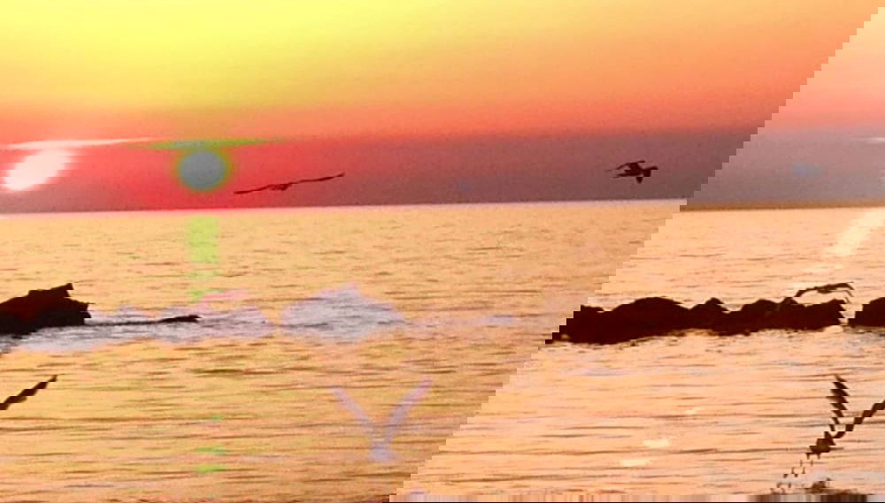 Nice Apartment in Ostseebad Wustrow - Foto 1, Habitación